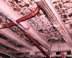 Ekspertyza stropów piwnic wraz z projektem wzmocnień szpitala Akademii Medycznej przy ul. Banacha w Warszawie. Ekspertyza stropów piwnic wraz z projektem wzmocnień szpitala Akademii Medycznej przy ul. Banacha w Warszawie.