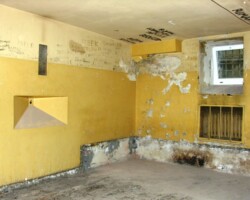 Ekspertyza części podziemnej Komendy Stołecznej Policji Pałac Mostowskich na potrzeby modernizacji cel więziennych na Muzeum Policji. Ekspertyza części podziemnej Komendy Stołecznej Policji Pałac Mostowskich na potrzeby modernizacji cel więziennych na Muzeum Policji.